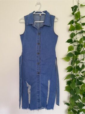 Sleeveless Blue Denim Button-Front Dress